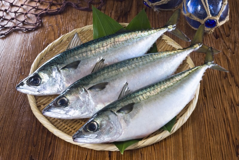 おすすめ食品?