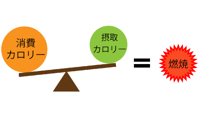 消費カロリーについて‼️