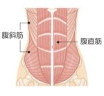 腹筋について?