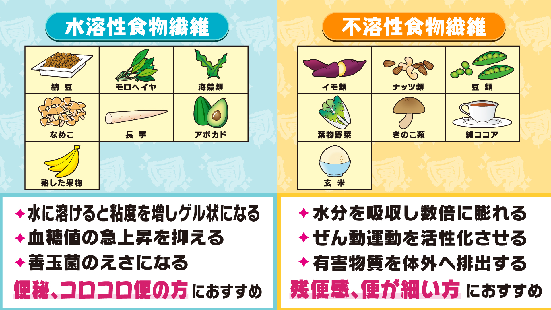 食物繊維とは