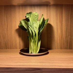 おすすめ野菜❕❕小松菜