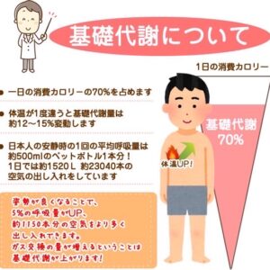 基礎代謝についてです！