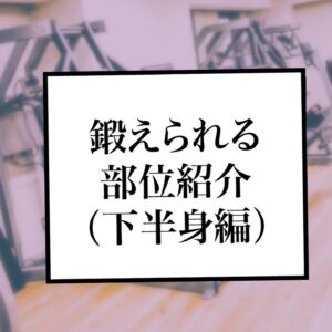 鍛えられる部位紹介