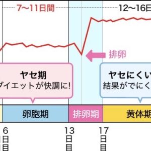 生理時の数値の変動について