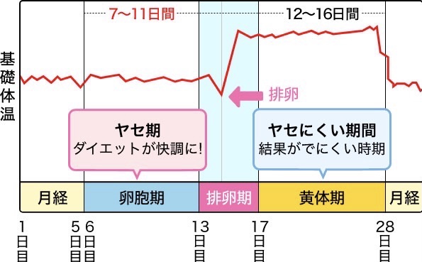 生理時の数値の変動について