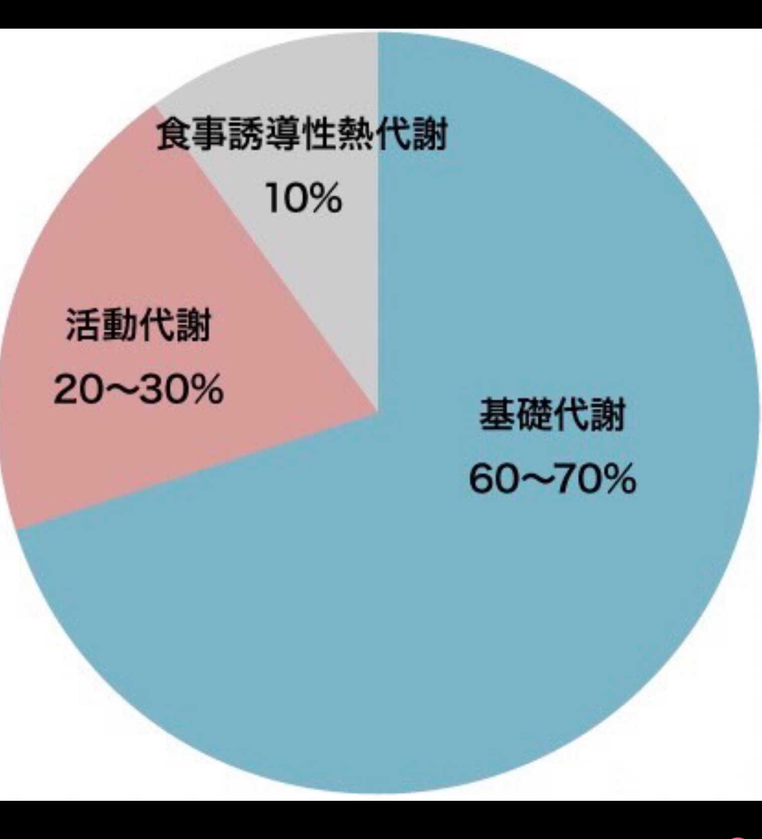 基礎代謝とダイエットについて