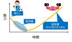 トレーニングの間隔について