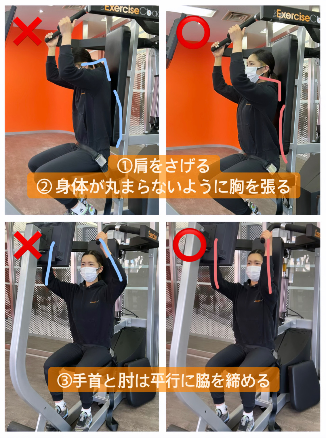 背中のトレーニング種目紹介👀