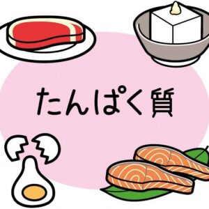 タンパク質について🍖