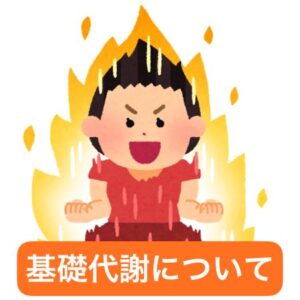 基礎代謝について🔥