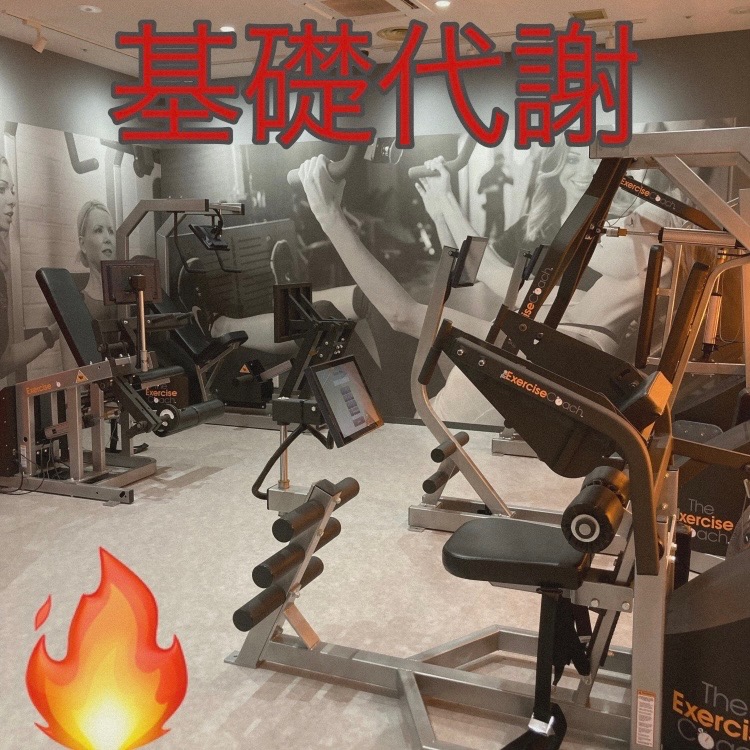 基礎代謝について🔥