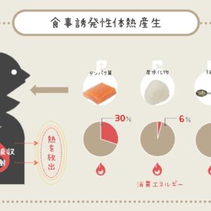 DIT(食事誘発性熱産生)について🔥