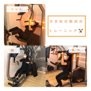 大きい筋肉について💪