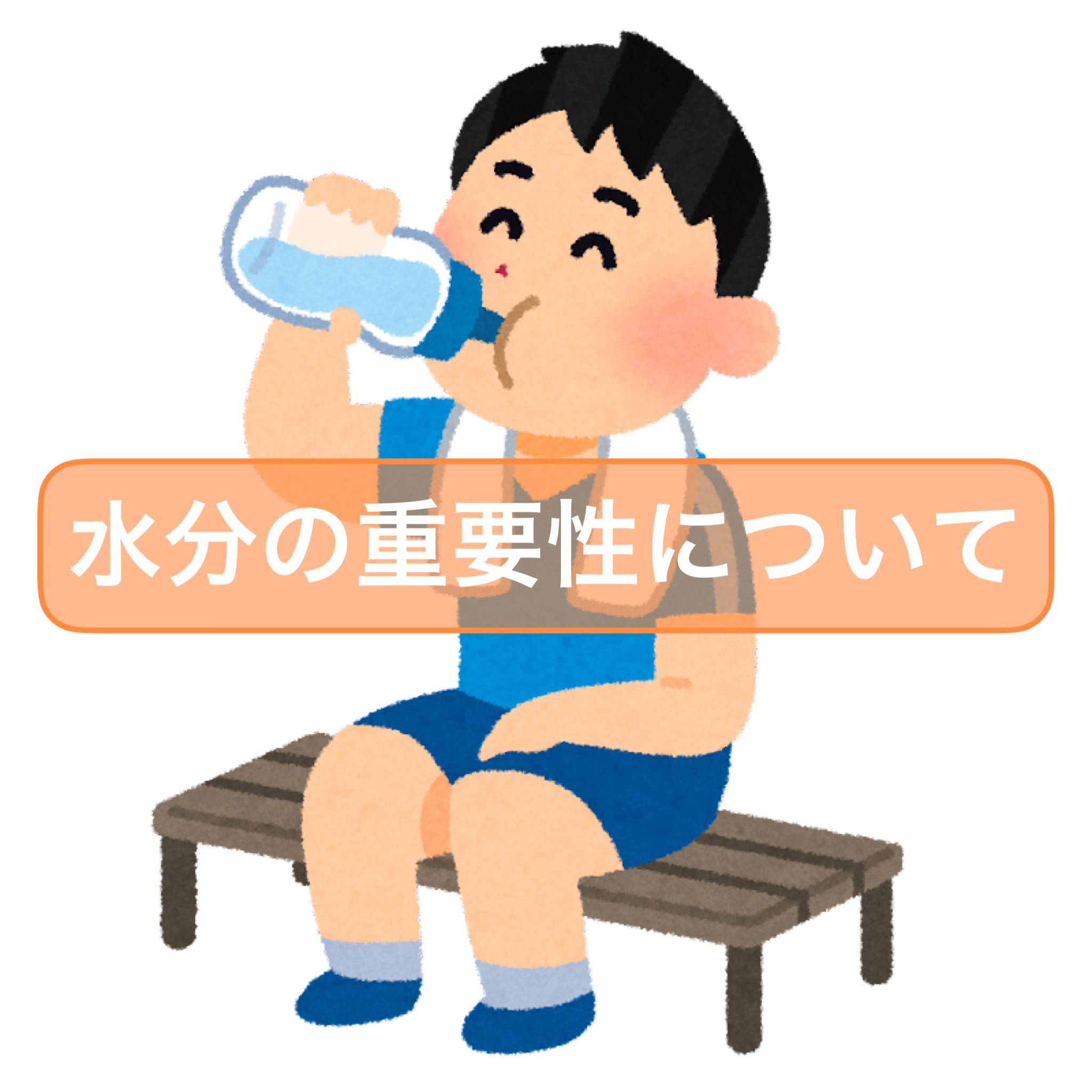 水分の重要性について💧