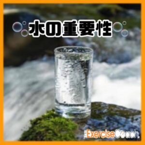 水分摂取の大切さ