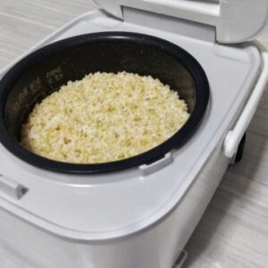 「沼」について