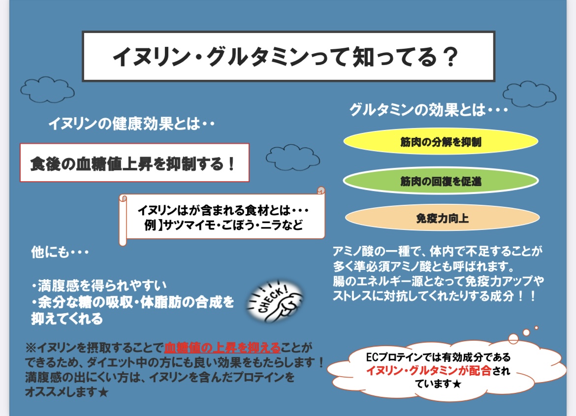 イヌリン、グルタミンについて👀