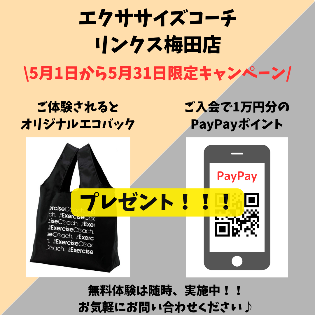 5月の体験・入会キャンペーン♪