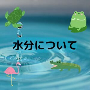 水分について