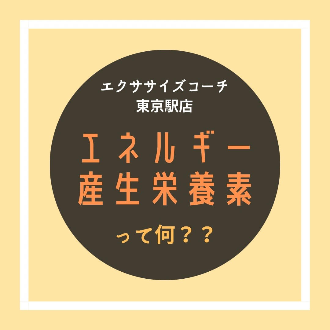 エネルギー産生栄養素って何？