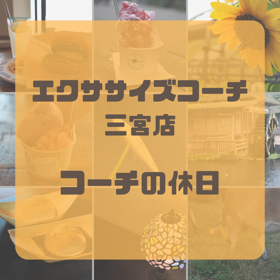 西川コーチの休日