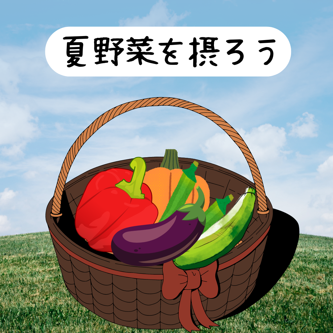 オススメの夏野菜