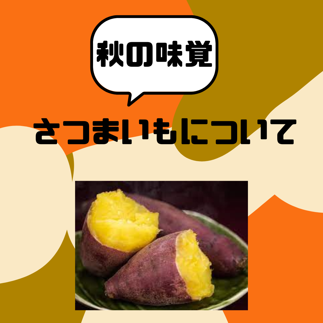 さつまいもについて🍠