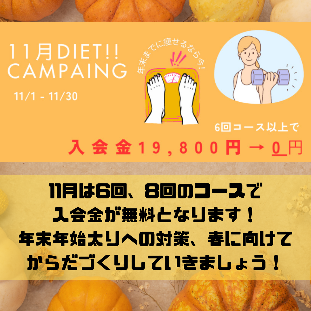 11月入会金無料キャンペーン実施中