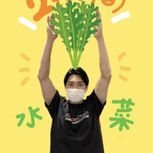 2月の旬【水菜】について🥬