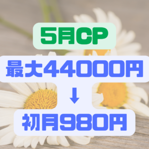 5月CP
