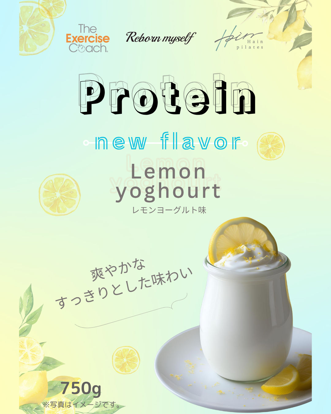 新プロテイン発売!