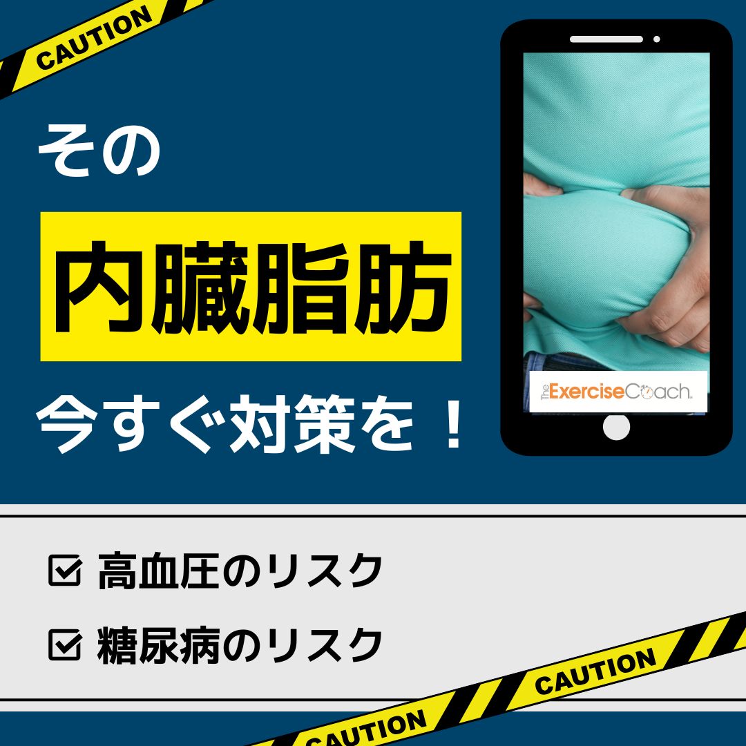 内臓脂肪について
