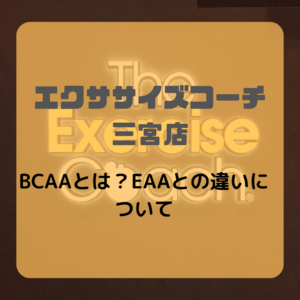BCAAとは？EAAとの違いについて