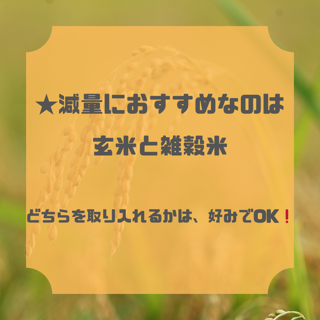お米の種類と減量におすすめなお米