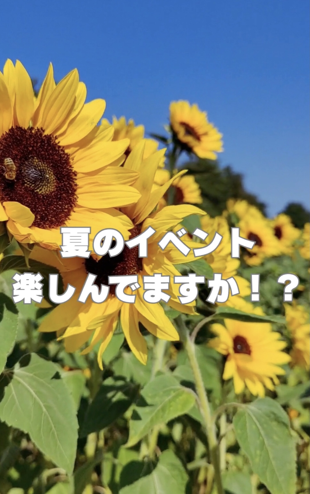 夏のイベントに合わせて
