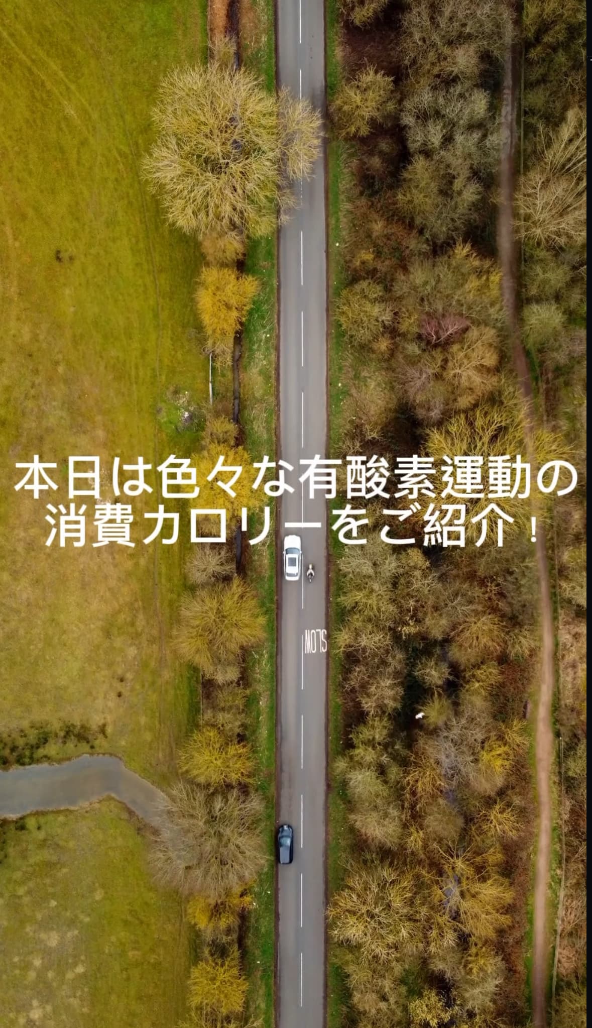 有酸素運動の消費カロリーのご紹介❗️
