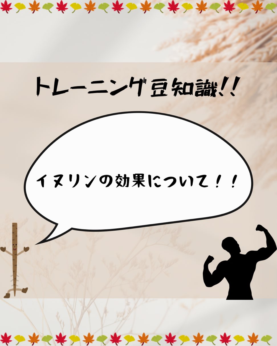 イヌリンについて！
