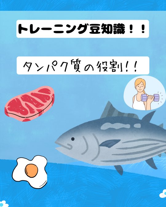 【タンパク質の重要性とは？】