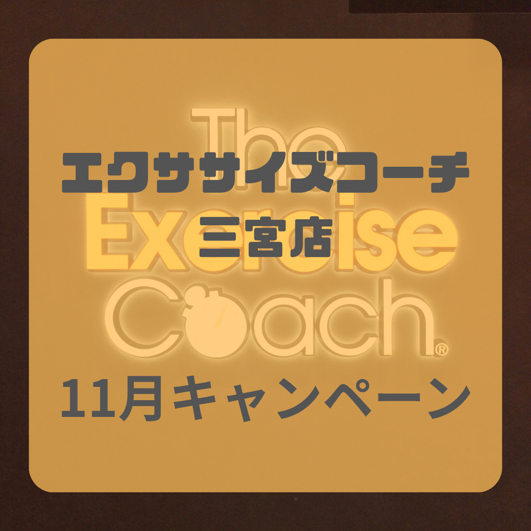 11月キャンペーン