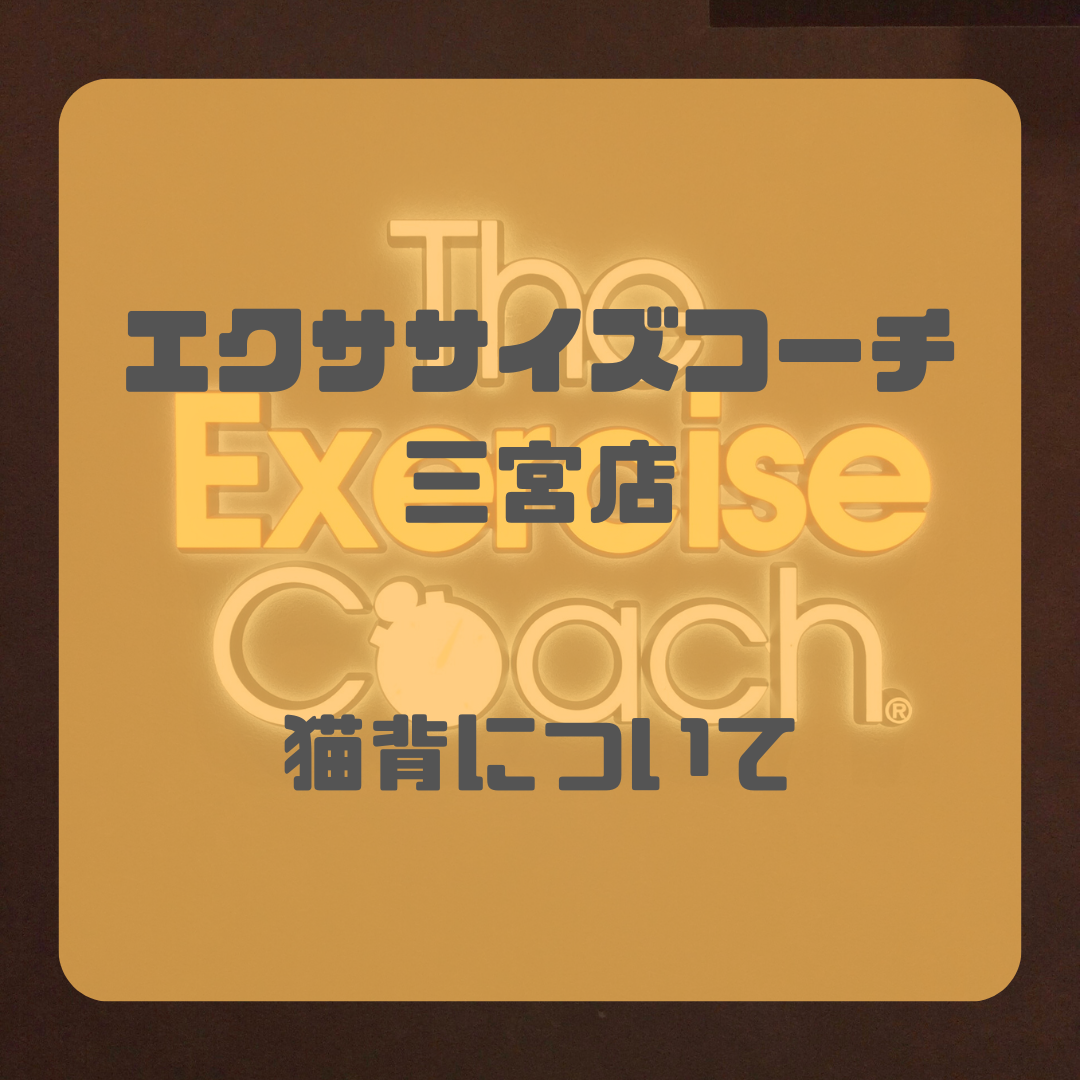 姿勢が悪くなると起こること