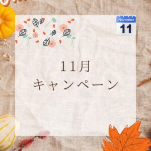 11月キャンペーン実施中