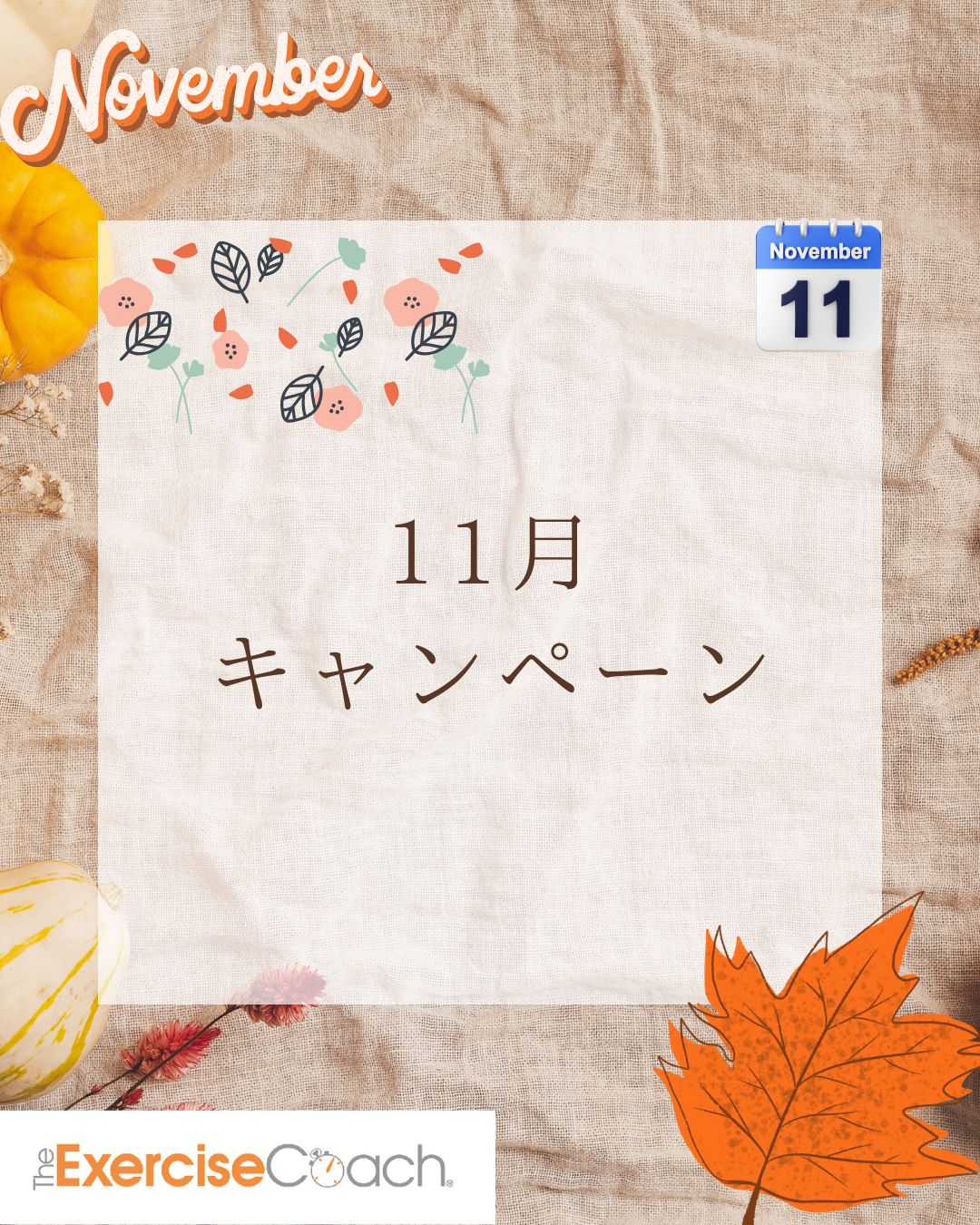 11月キャンペーン実施中