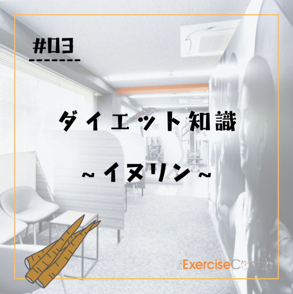 イヌリンについて