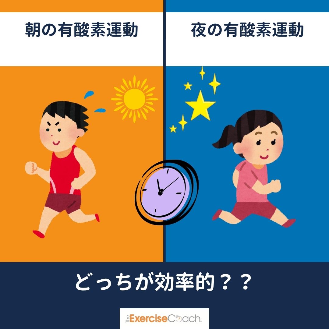 有酸素運動　朝、夜どちらかが効果的？
