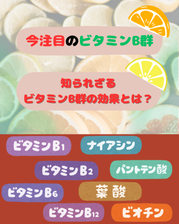 ビタミンB群のご紹介