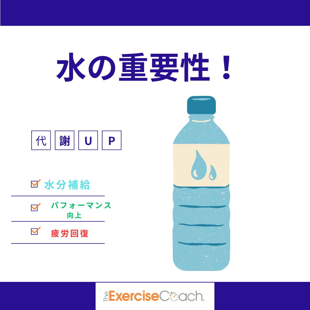 水分の重要性