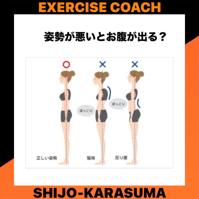 姿勢が悪いとお腹が出る？