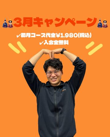 3月キャンペーンのご案内🎎