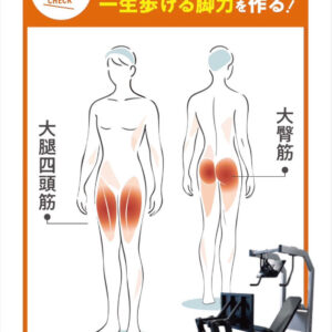 レッグプレスの紹介