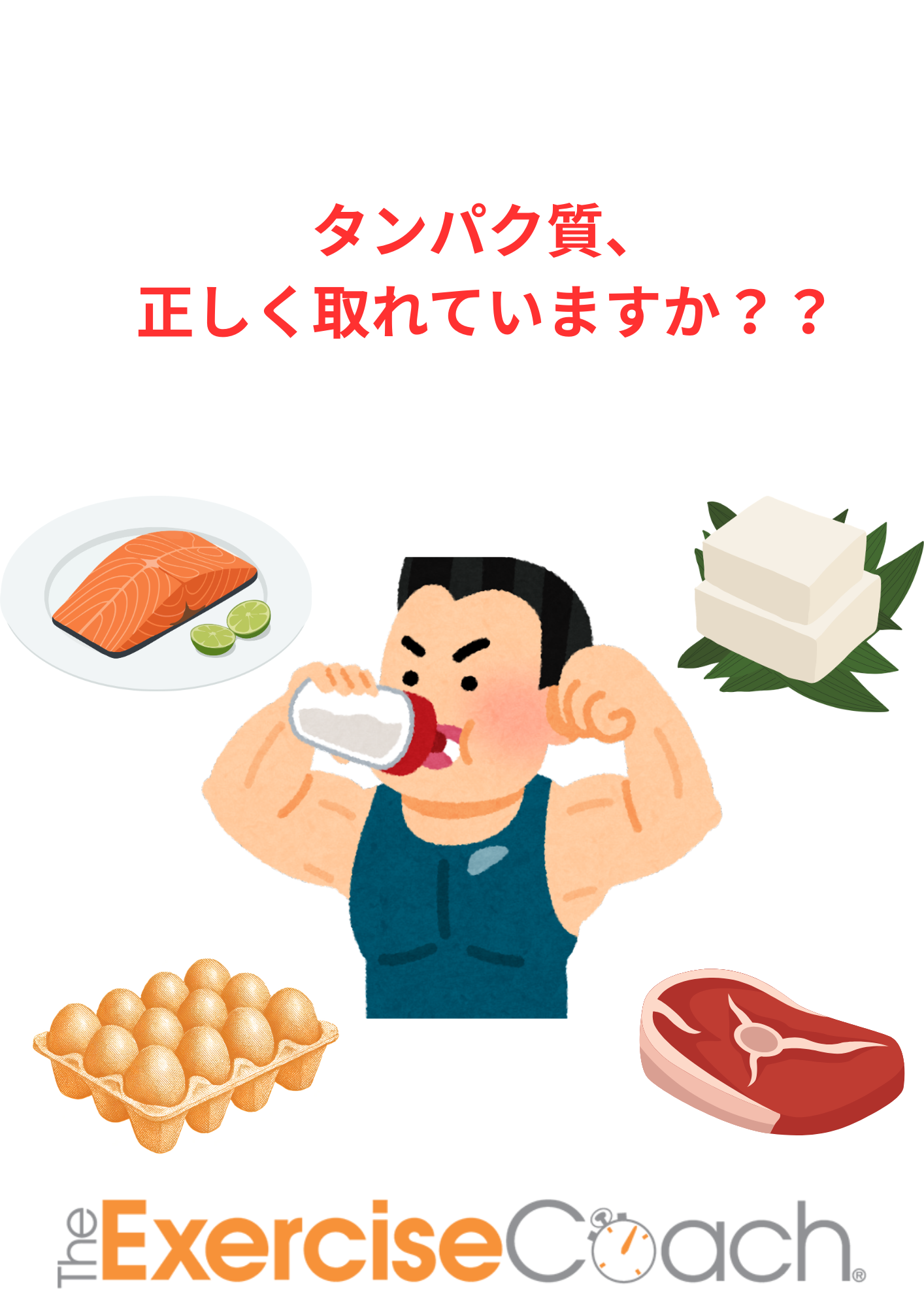 たんぱく質を正しく摂ろう！